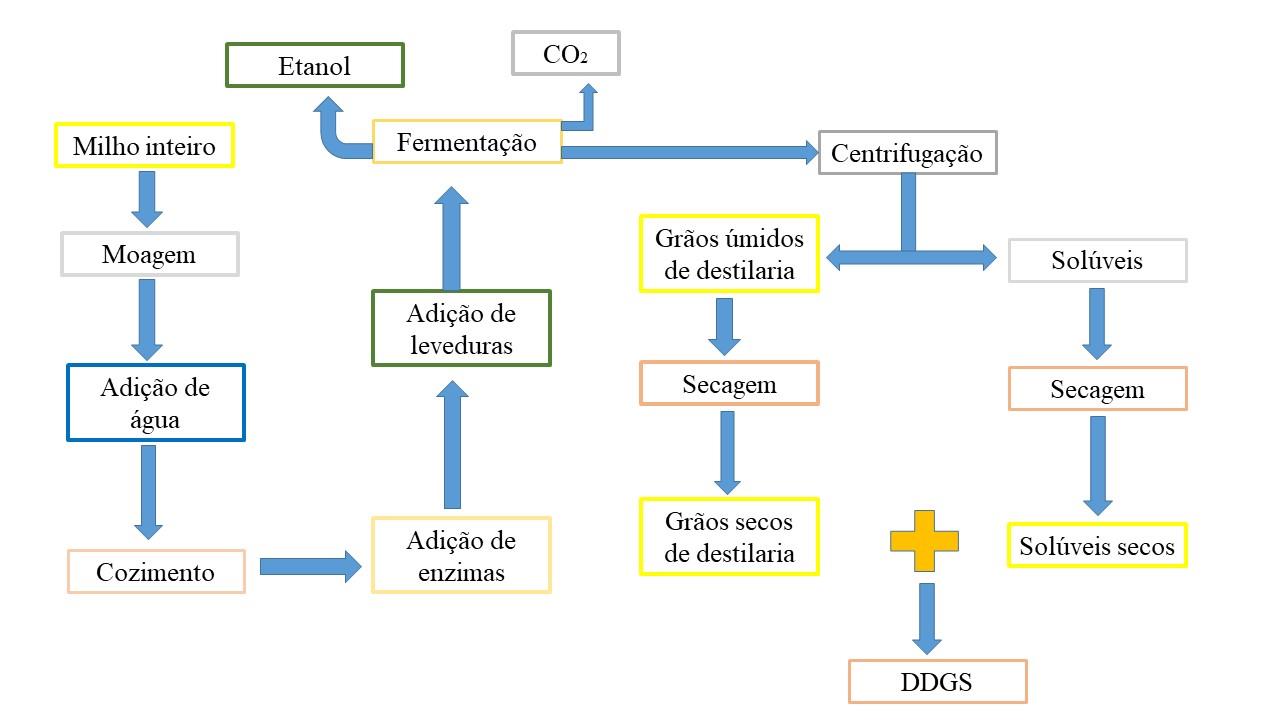 Caracterização nutricional de coprodutos de etanol de milho para suínos